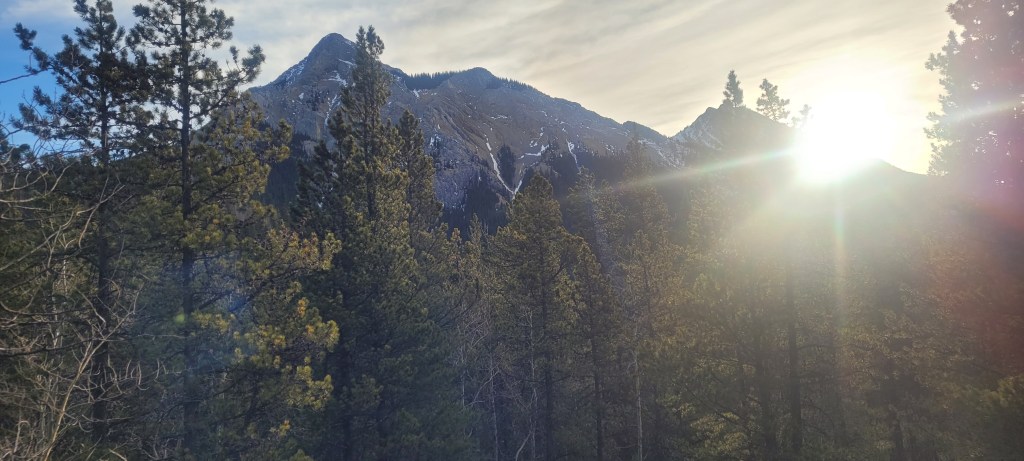 A photo of the sun peeking over the mountains with pine trees in the foreground.